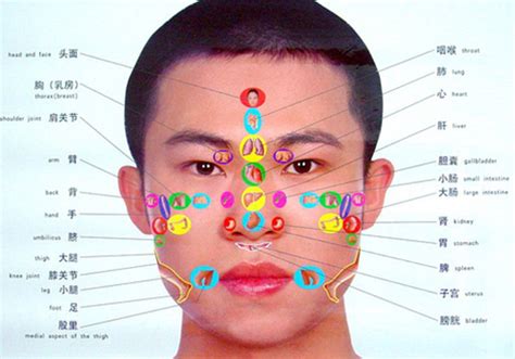 生痘痘位置|起痘痘的位置对照内脏